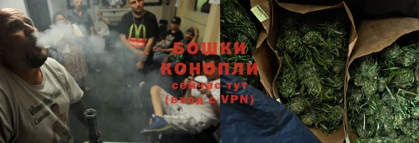 гидра Новодвинск