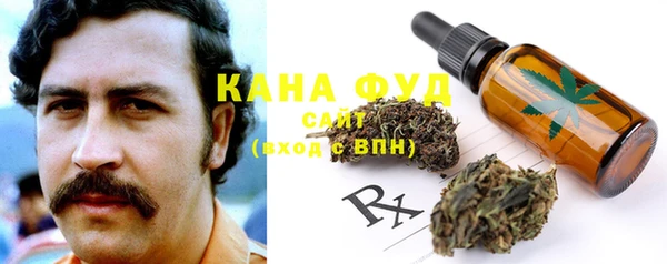трава Новозыбков