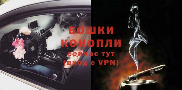 гидра Новодвинск