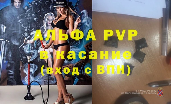 гидра Новодвинск