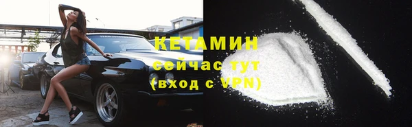 трава Новозыбков