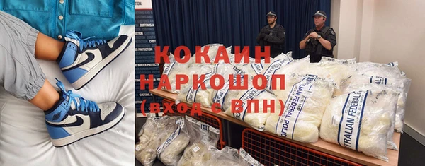 гидра Новодвинск