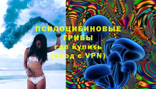 трава Новозыбков