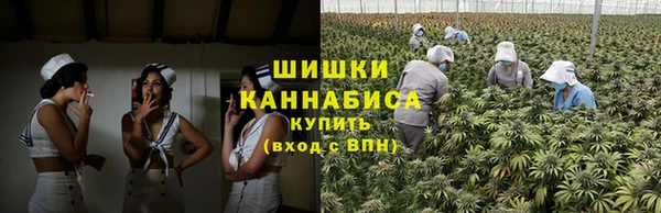трава Новозыбков