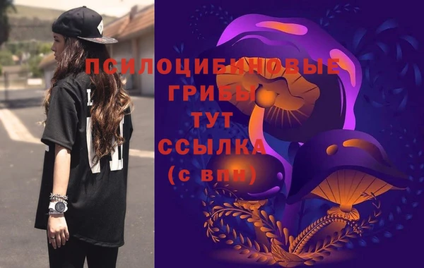 гидра Новодвинск