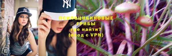 гидра Новодвинск