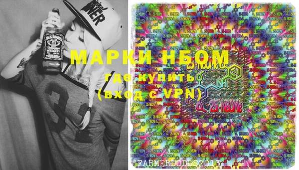 гидра Новодвинск