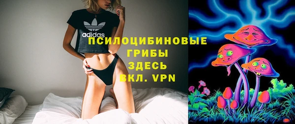 Альфа ПВП Новокубанск