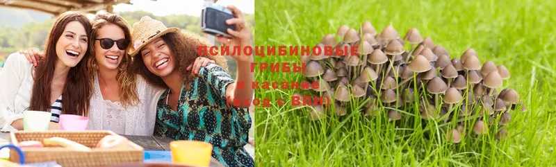 Галлюциногенные грибы Magic Shrooms  omg как войти  Знаменск  закладка 