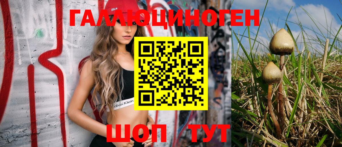 Знаменск  Псилоцибиновые грибы прущие грибы  Вход с VPN 