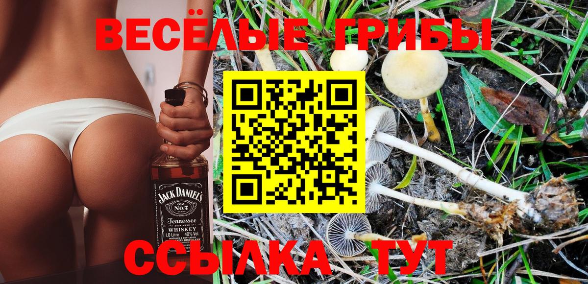 Псилоцибиновые грибы Magic Shrooms Знаменск